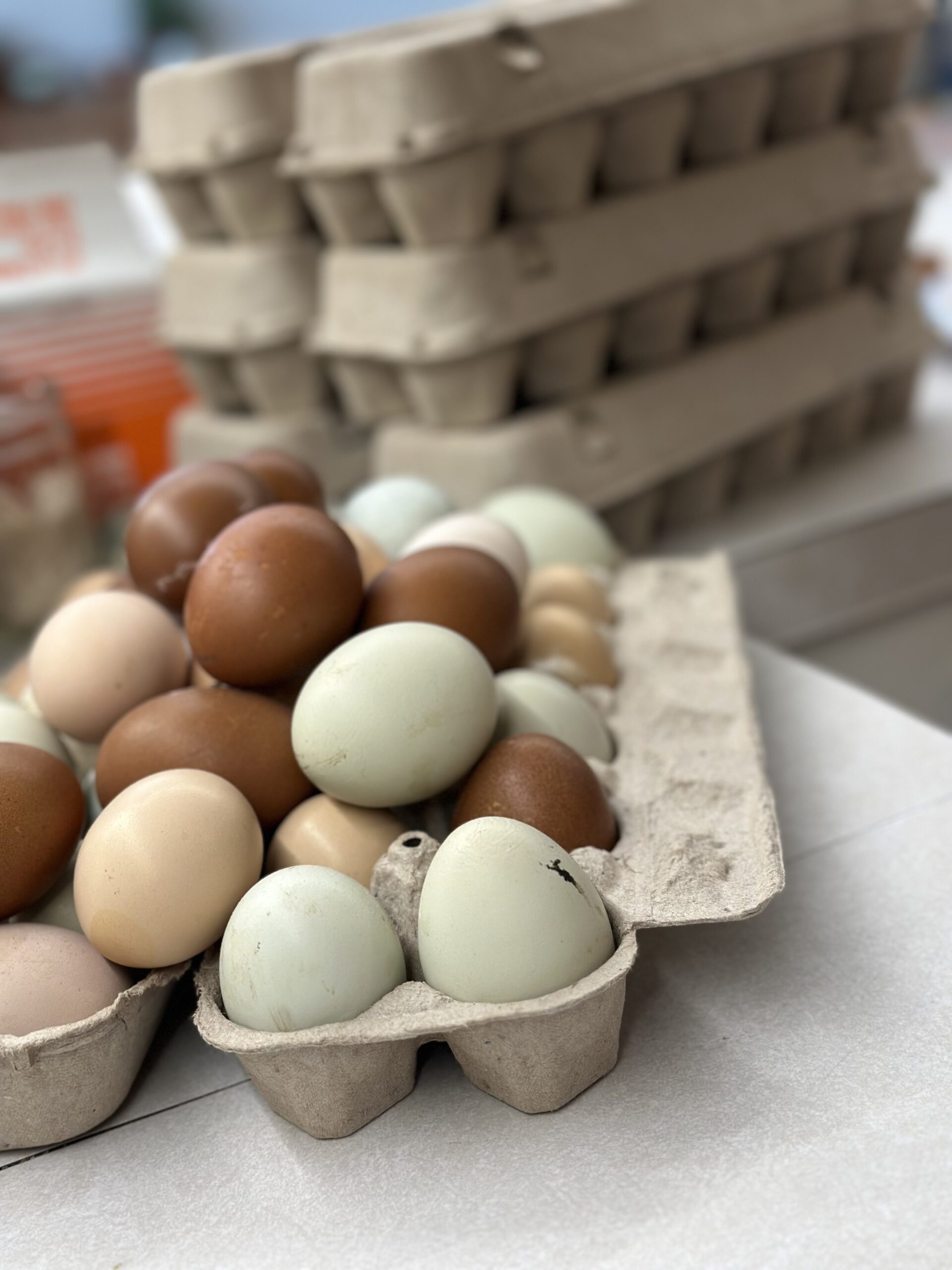 1-Dozen Non-GMO Fresh Eggs